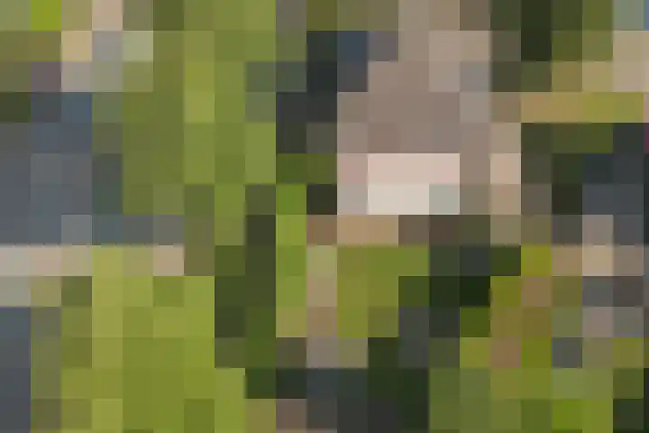 Hogeschoorweg 26 Venlo thumbnail 21