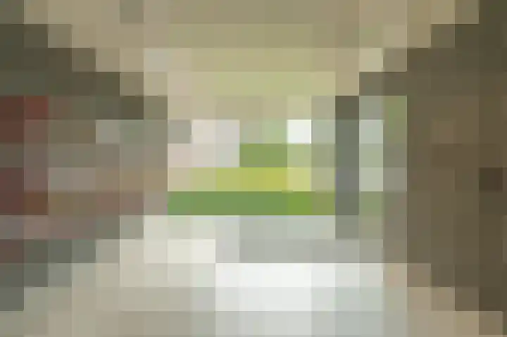 Hogestede 121 Roosendaal thumbnail 6