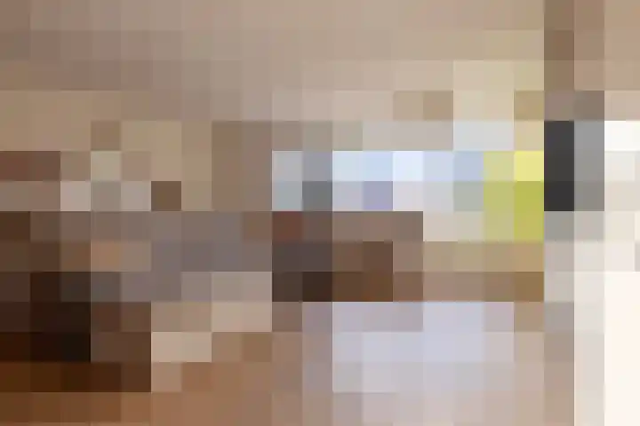 Hogestede 85 in Roosendaal