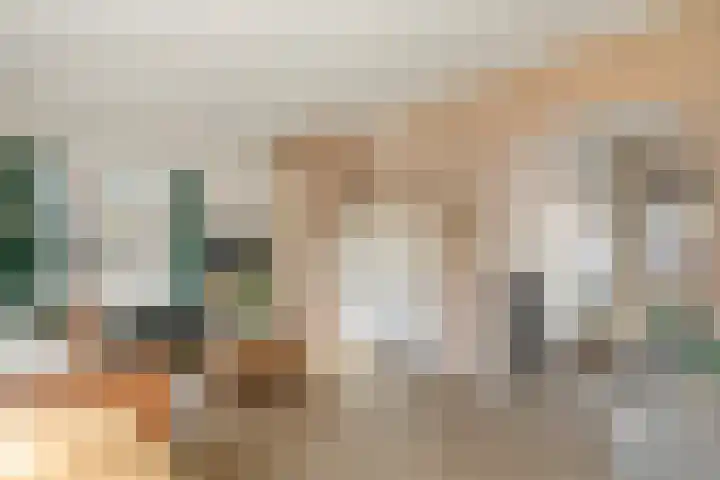 Hogesteeg 1 Rhenen thumbnail 10