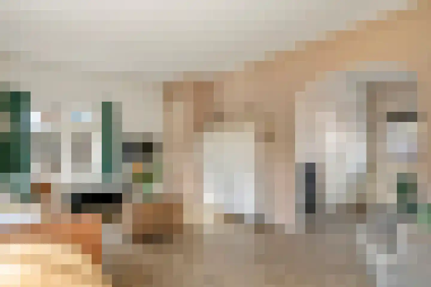 Hogesteeg 1 Rhenen thumbnail 10