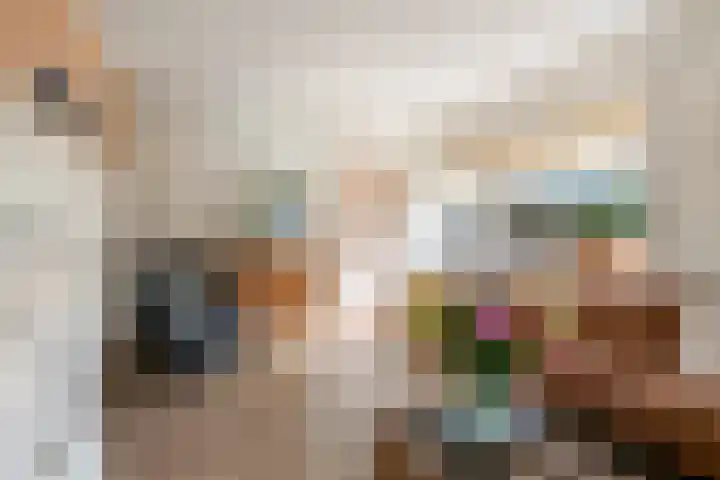 Hogesteeg 1 Rhenen thumbnail 12
