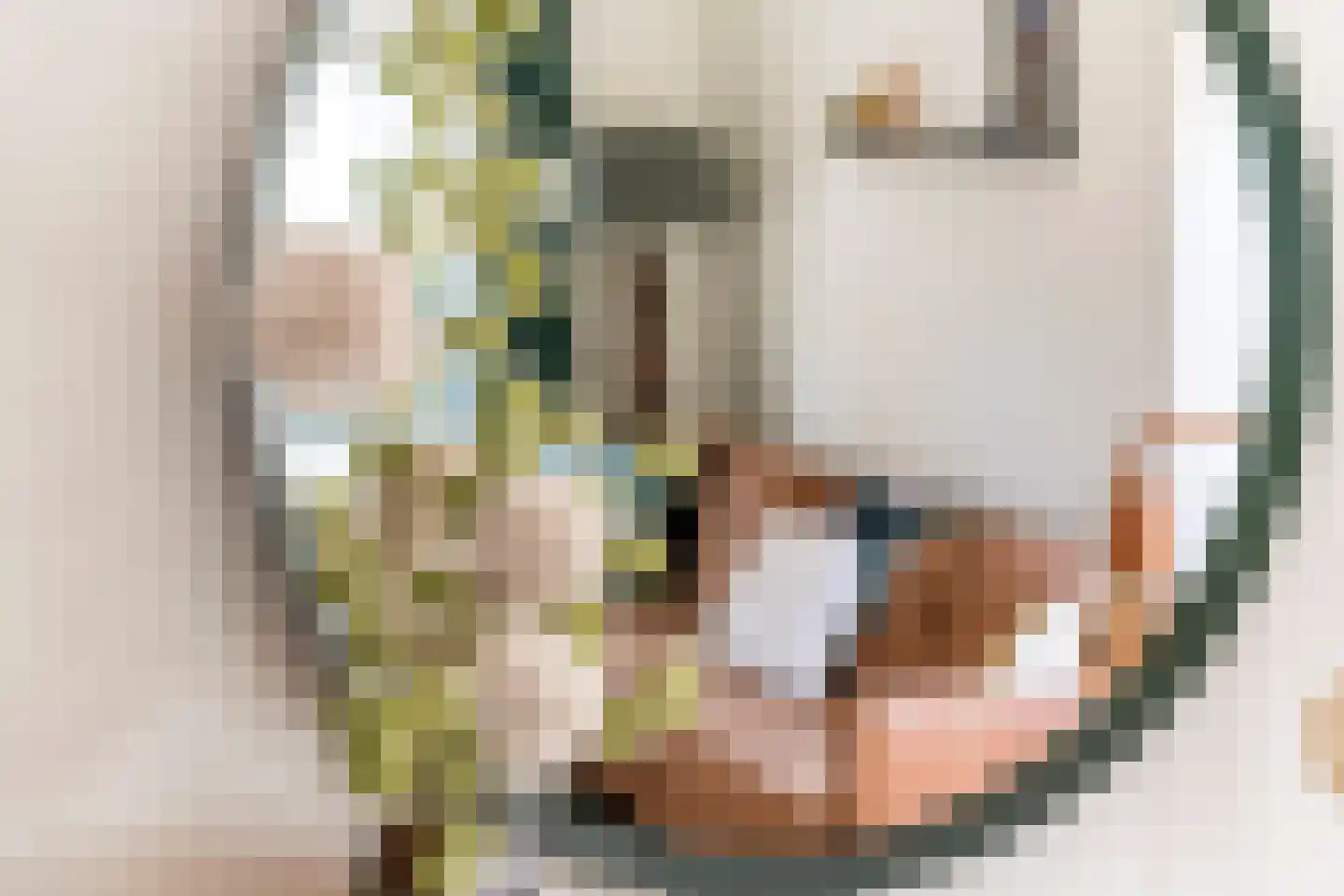 Hogesteeg 1 Rhenen thumbnail 13