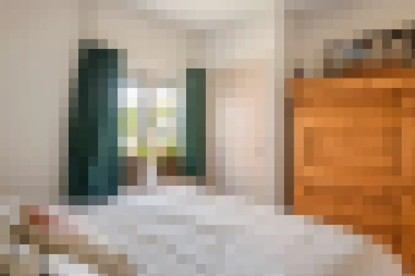Hogesteeg 1 Rhenen thumbnail 15
