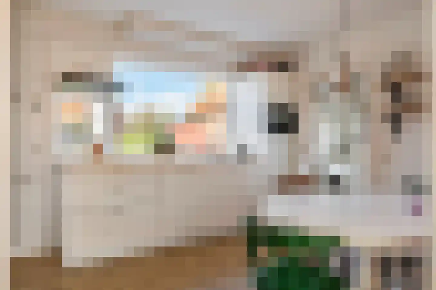 Hogesteeg 1 Rhenen thumbnail 17