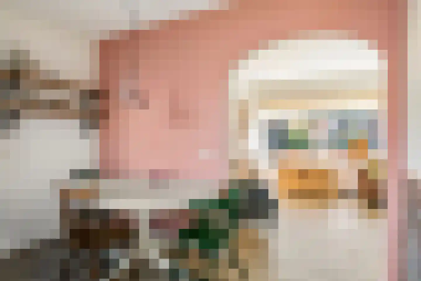 Hogesteeg 1 Rhenen thumbnail 19