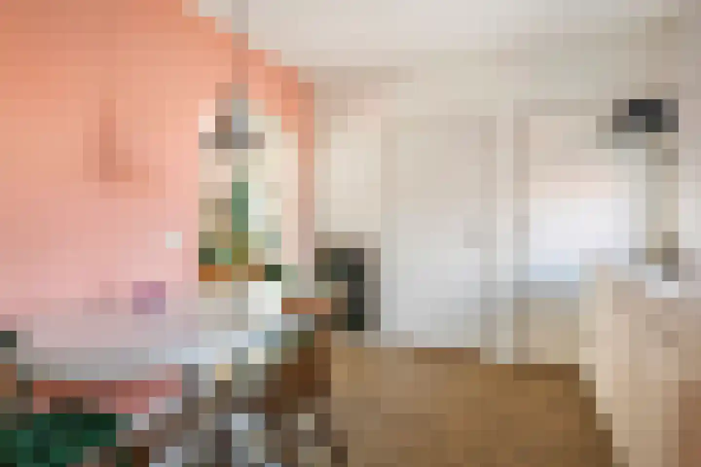 Hogesteeg 1 Rhenen thumbnail 20