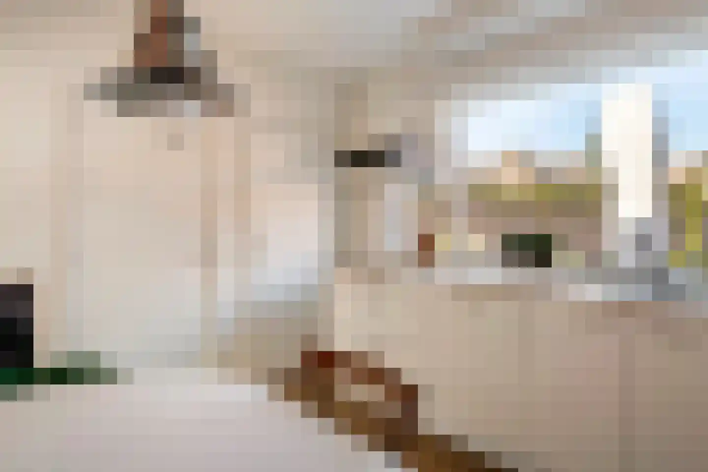 Hogesteeg 1 Rhenen thumbnail 21