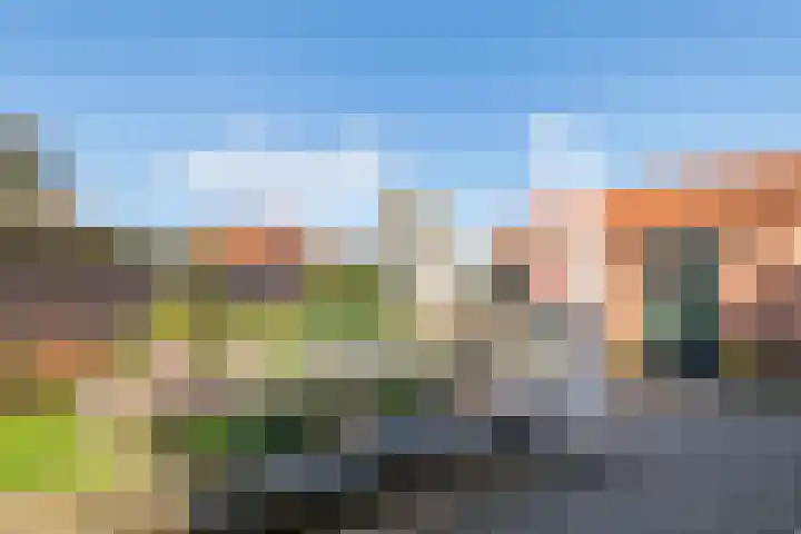 Hogesteeg 1 Rhenen thumbnail 24