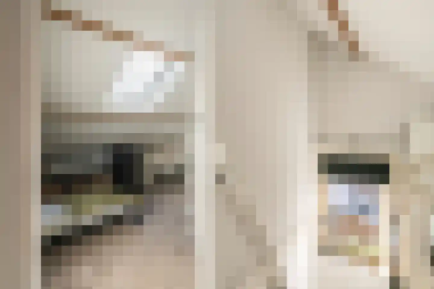 Hogesteeg 1 Rhenen thumbnail 32