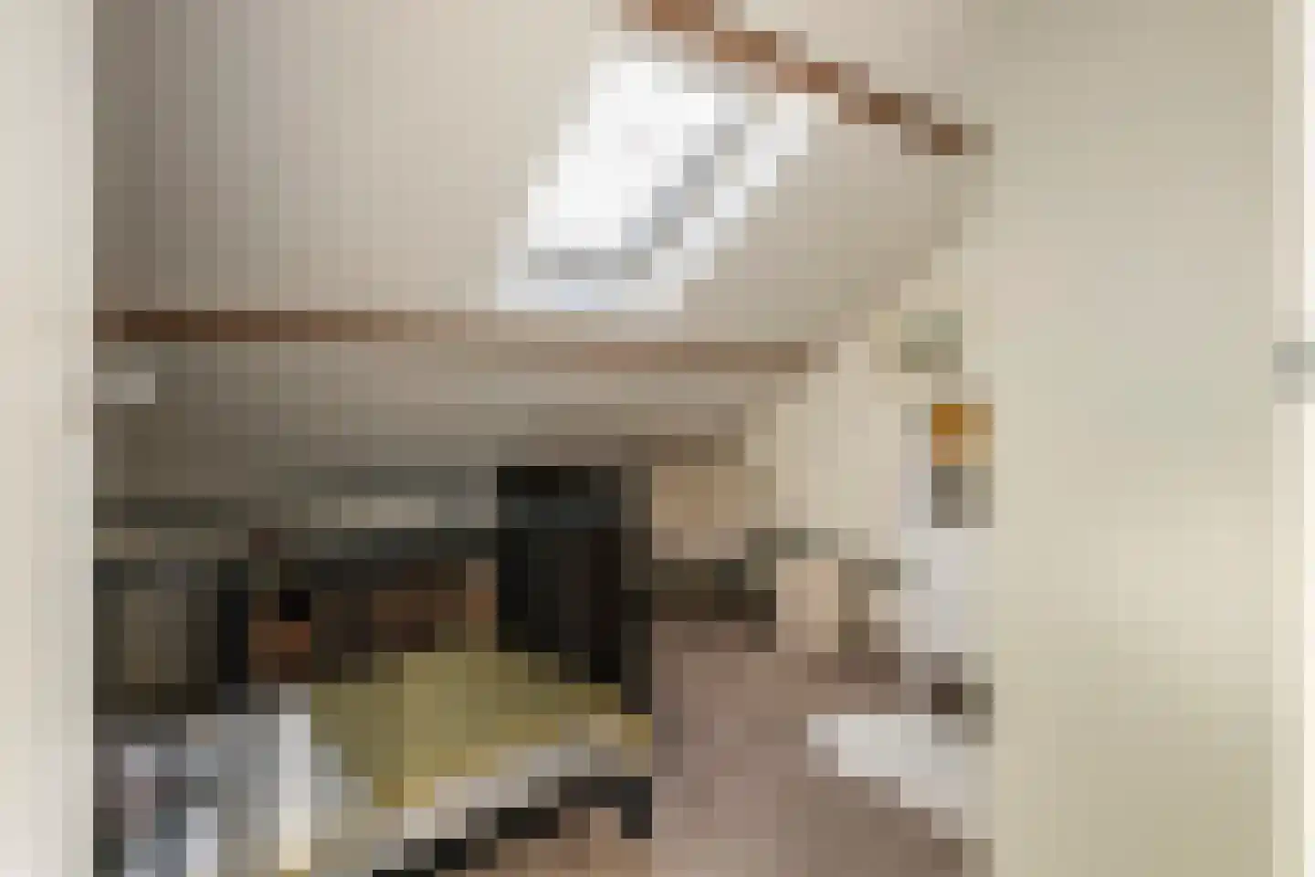 Hogesteeg 1 Rhenen thumbnail 33
