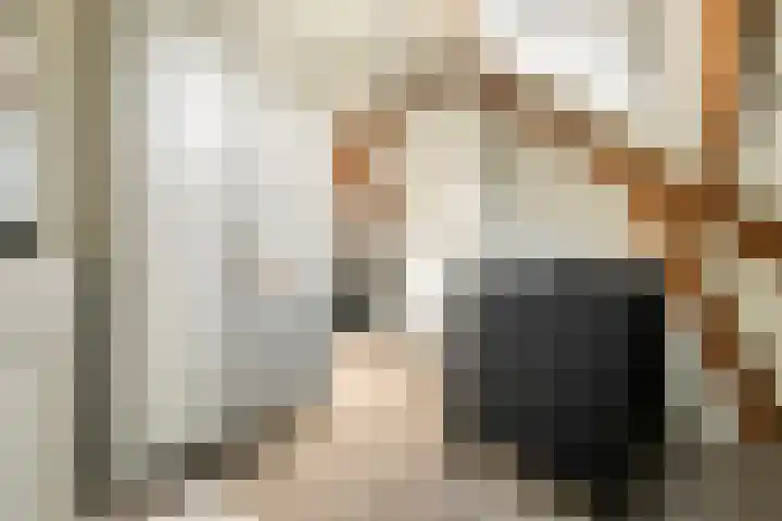 Hogesteeg 1 Rhenen thumbnail 34