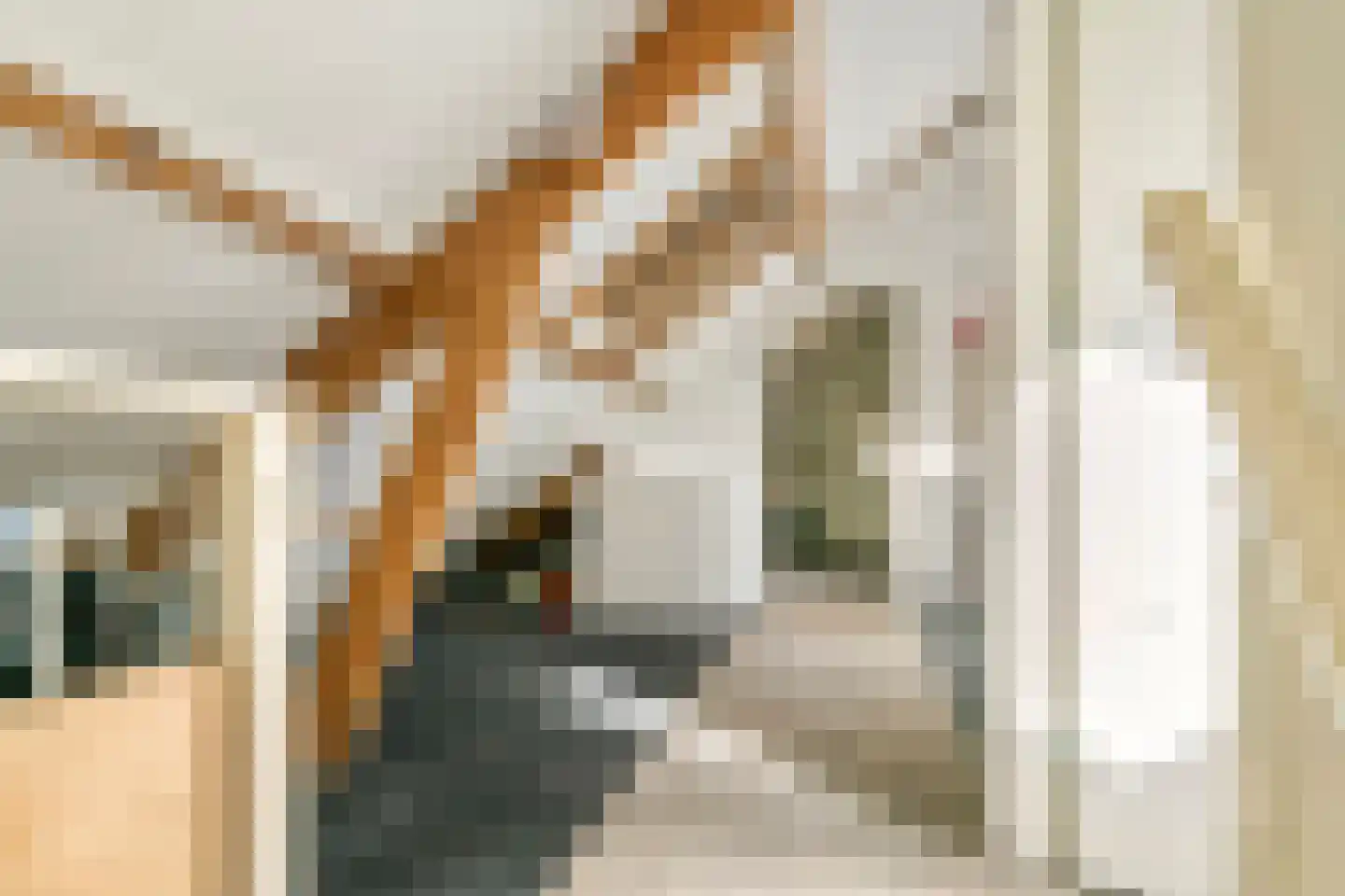 Hogesteeg 1 Rhenen thumbnail 35