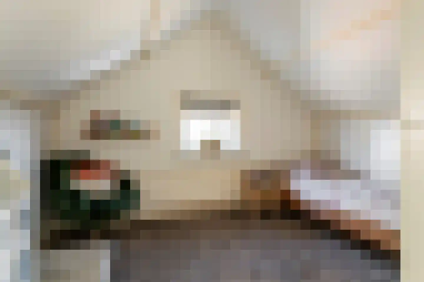 Hogesteeg 1 Rhenen thumbnail 36