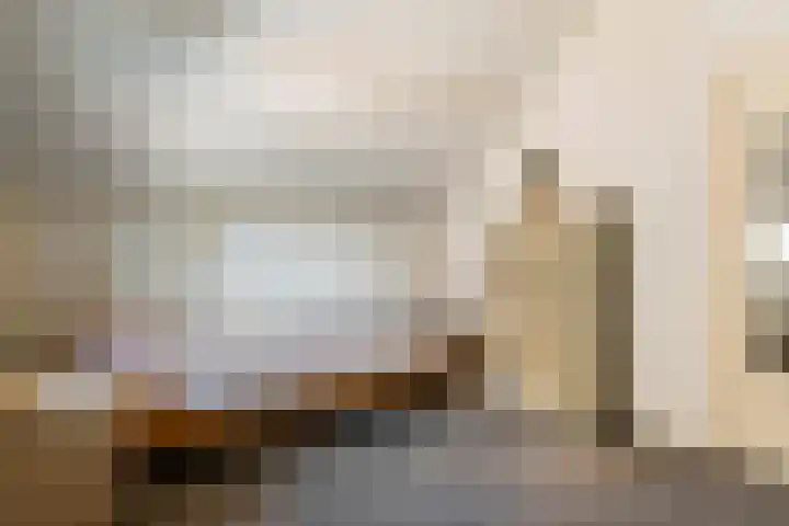 Hogesteeg 1 Rhenen thumbnail 37