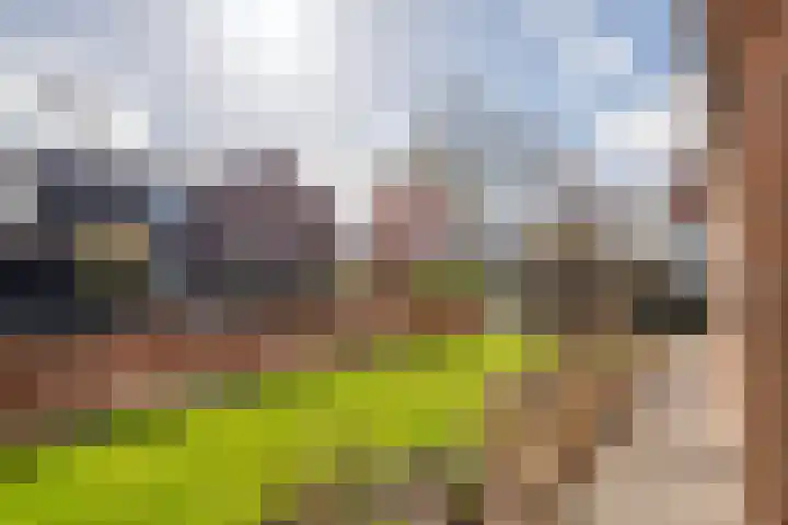 Hogesteeg 1 Rhenen thumbnail 5