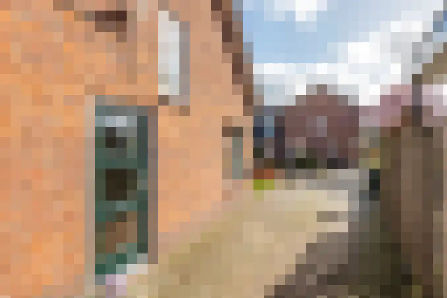 Hogesteeg 1 Rhenen thumbnail 6