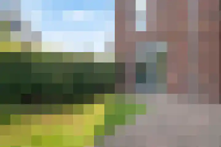 Hogesteeg 17 A Amersfoort thumbnail 21