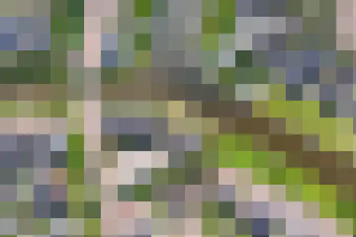 Hogesteeg 17 A Amersfoort thumbnail 37