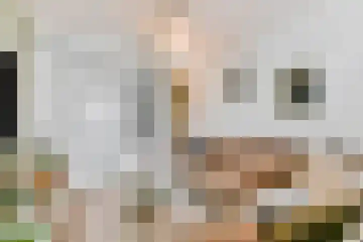 Hogesteeg 17 E Amersfoort thumbnail 4