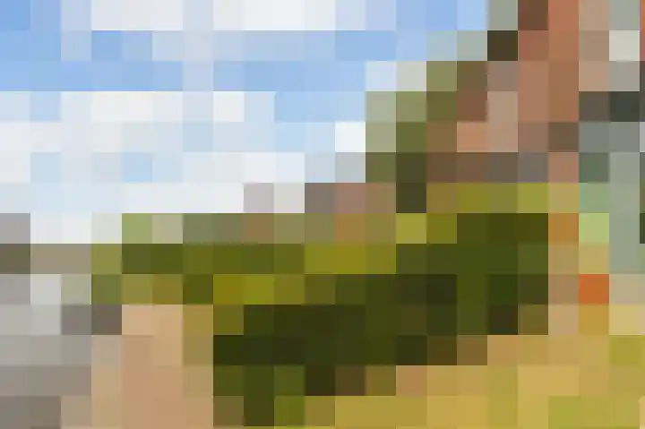 Hogesteeg 19 B Amersfoort thumbnail 6