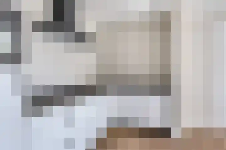 Hogesteeg 21 Ammerzoden thumbnail 10