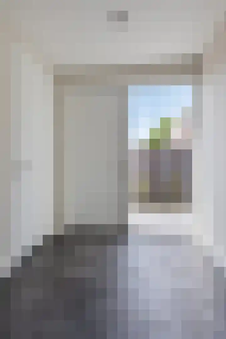 Hogesteeg 21 Ammerzoden thumbnail 13