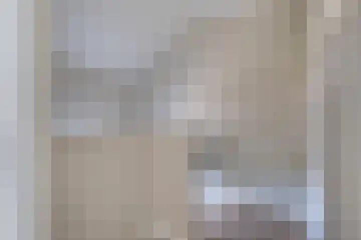 Hogesteeg 21 Ammerzoden thumbnail 20