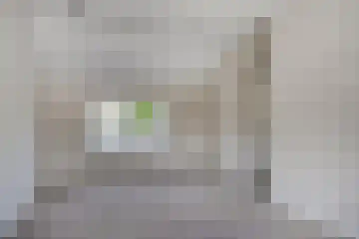 Hogesteeg 21 Ammerzoden thumbnail 23