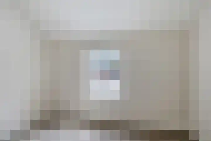 Hogesteeg 21 Ammerzoden thumbnail 24