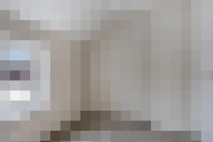 Hogesteeg 21 Ammerzoden thumbnail 25