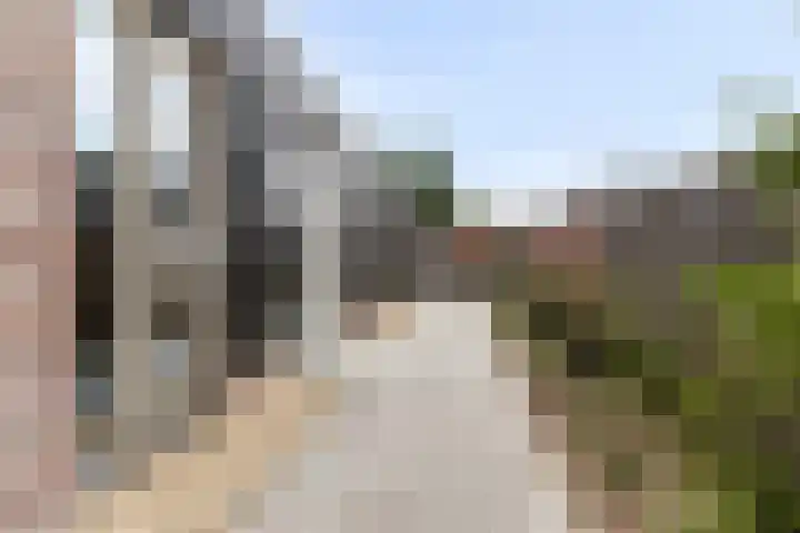 Hogesteeg 21 Ammerzoden thumbnail 26