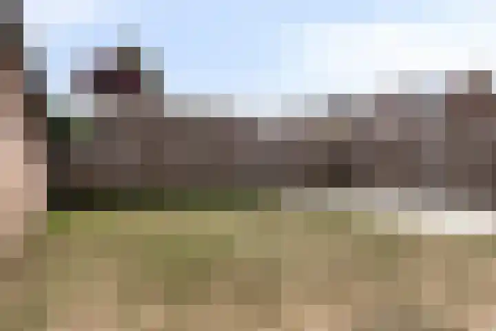 Hogesteeg 21 Ammerzoden thumbnail 28