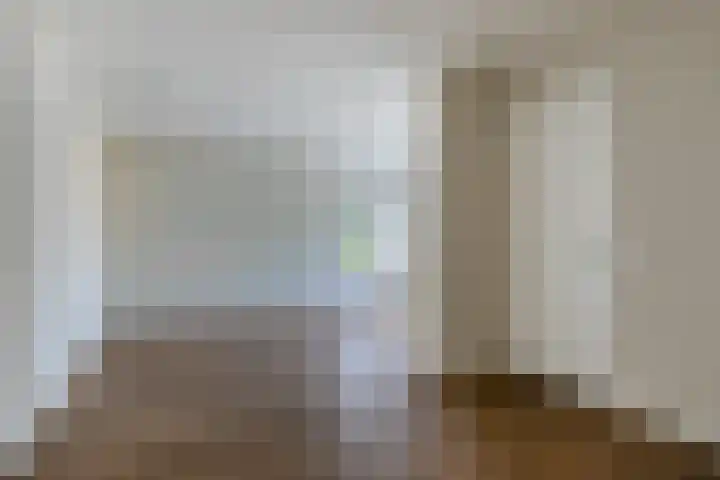 Hogesteeg 21 Ammerzoden thumbnail 5
