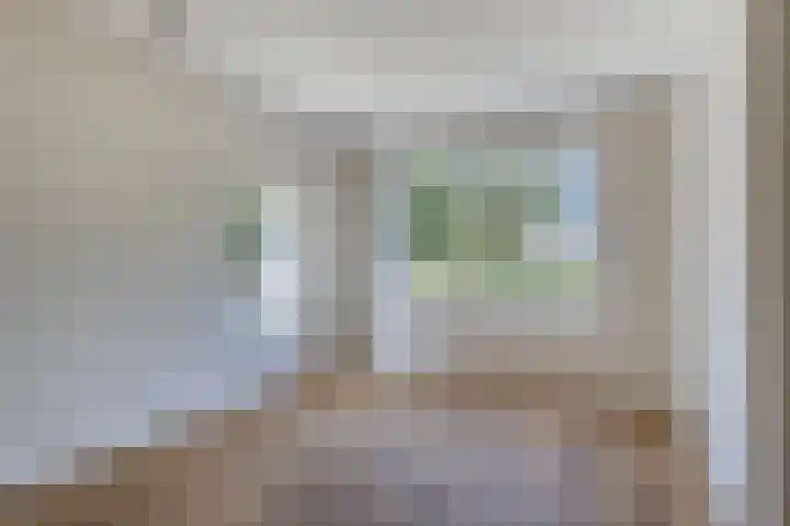 Hogesteeg 21 Ammerzoden thumbnail 6