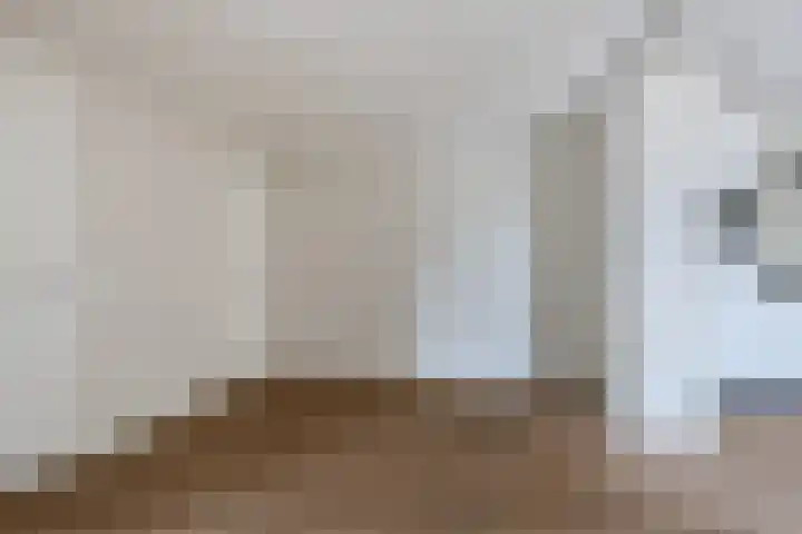 Hogesteeg 21 Ammerzoden thumbnail 8