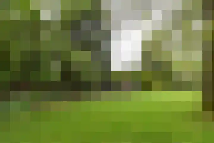 Hogesteeg 4 Garderen thumbnail 10