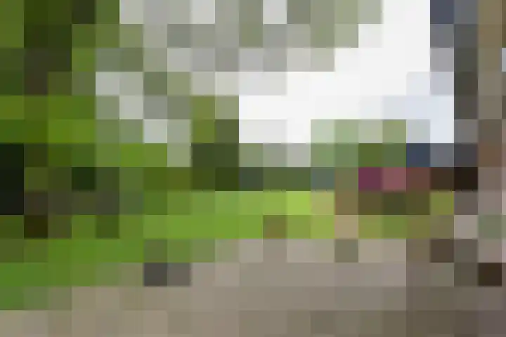 Hogesteeg 4 Garderen thumbnail 11