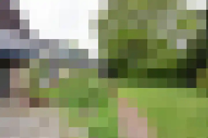 Hogesteeg 4 Garderen thumbnail 12