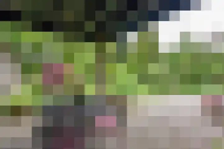 Hogesteeg 4 Garderen thumbnail 14