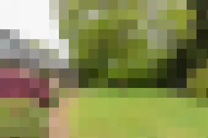 Hogesteeg 4 Garderen thumbnail 16