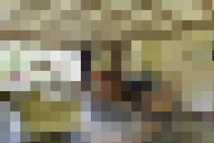 Hogesteeg 4 Garderen thumbnail 17