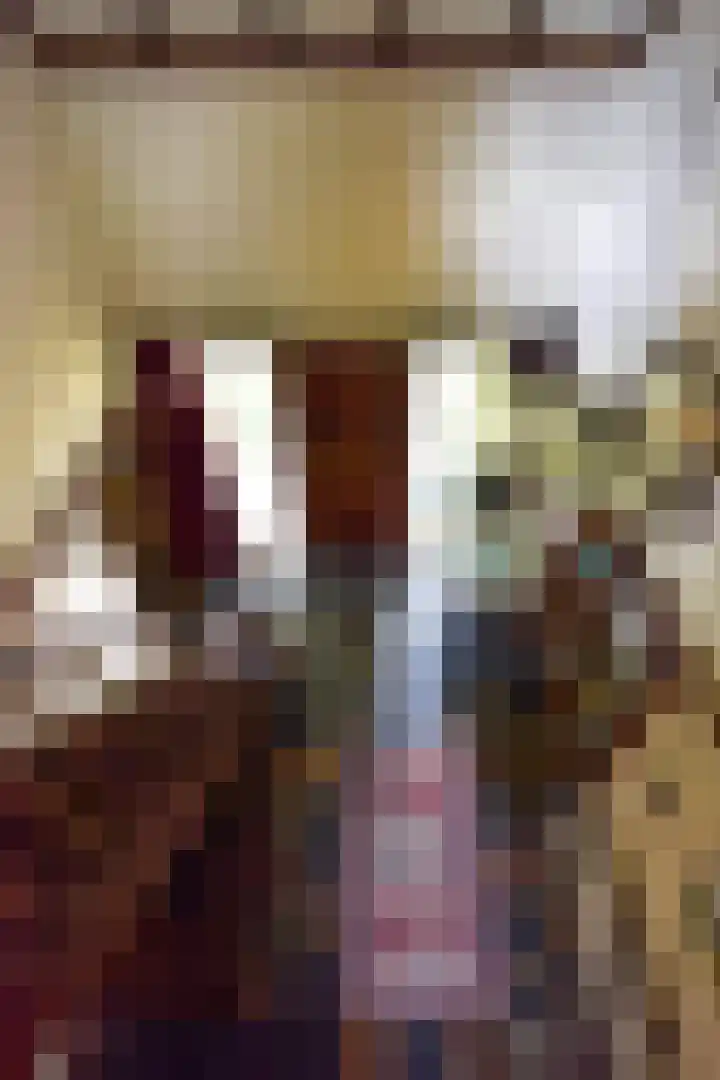 Hogesteeg 4 Garderen thumbnail 34