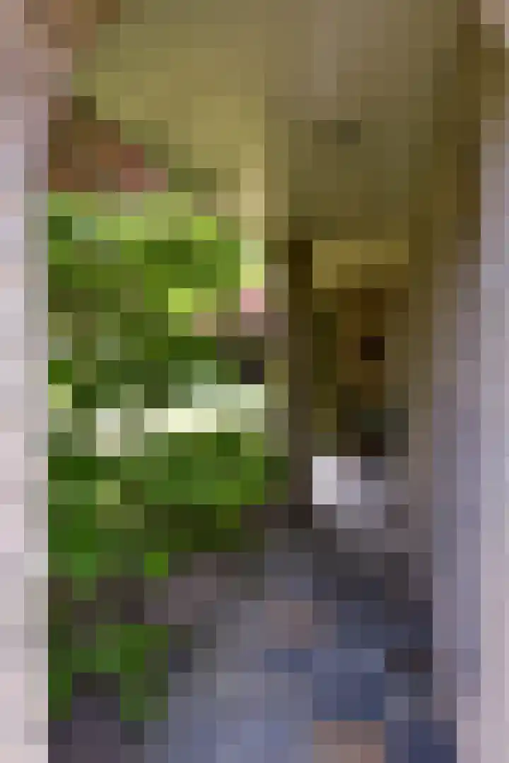 Hogesteeg 4 Garderen thumbnail 35