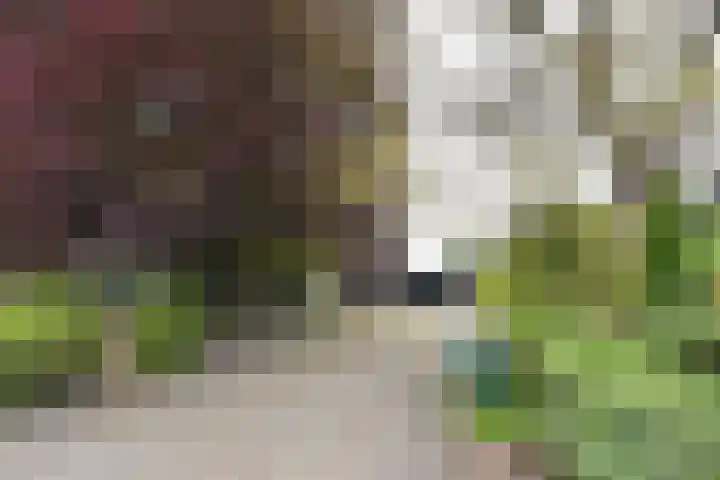 Hogesteeg 4 Garderen thumbnail 38