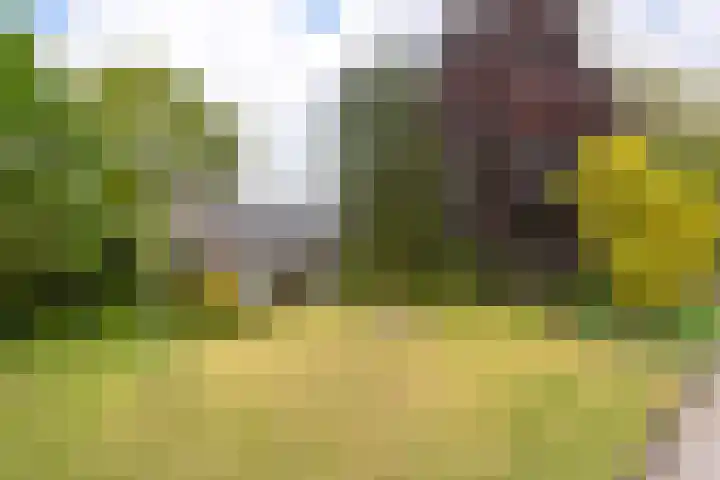 Hogesteeg 4 Garderen thumbnail 5