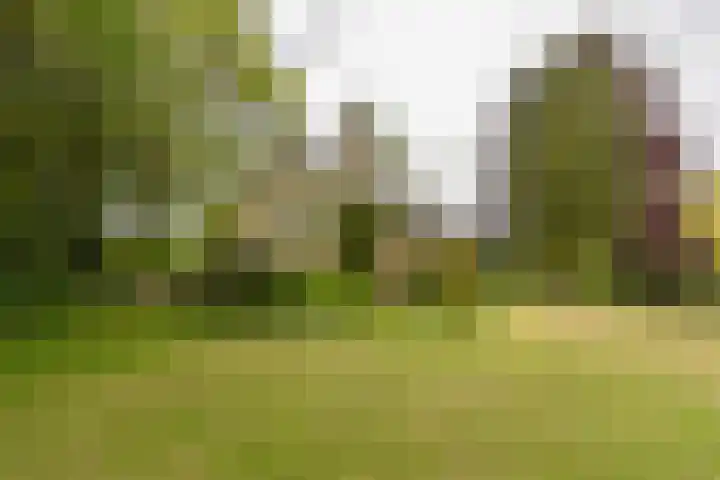 Hogesteeg 4 Garderen thumbnail 6