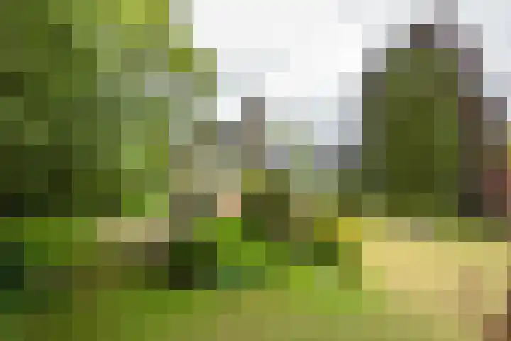 Hogesteeg 4 Garderen thumbnail 7
