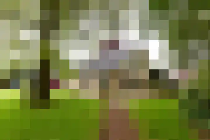 Hogesteeg 4 Garderen thumbnail 8