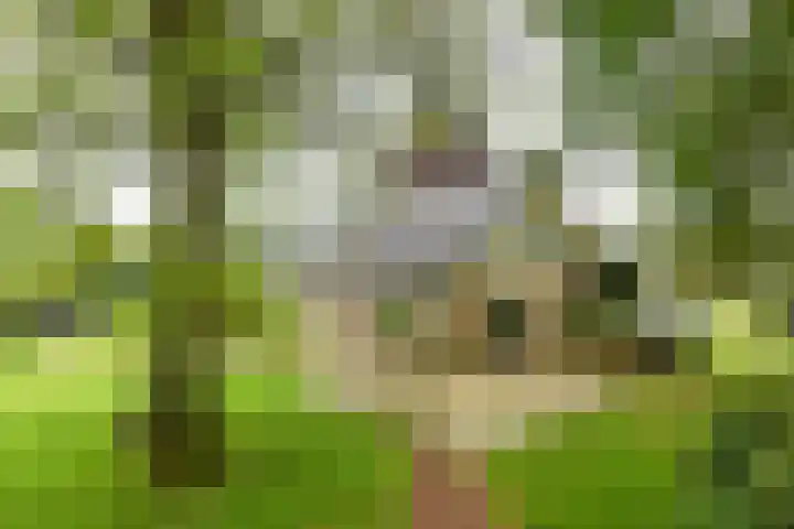 Hogesteeg 4 Garderen thumbnail 9